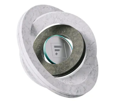 Flagstone coin in marble circles