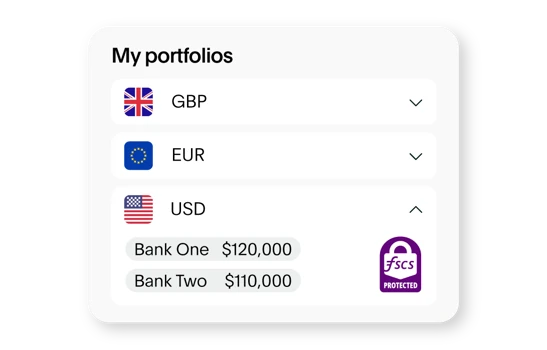 A My Portfolio list of accounts in various international currencies
