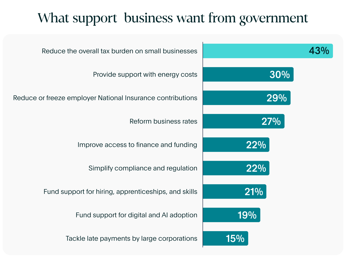 What Support Businesses Want From Government Chart